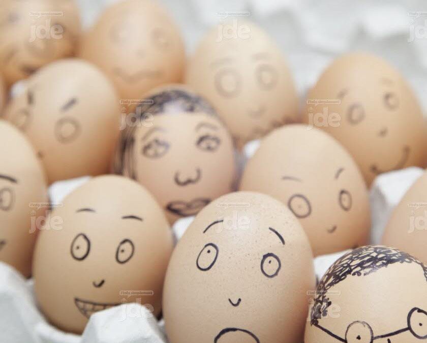 Oeufs contaminés et suppression des aides à la bio