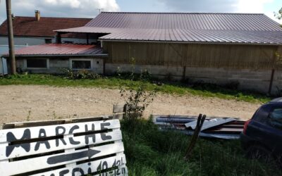 Actualités agriculturelles