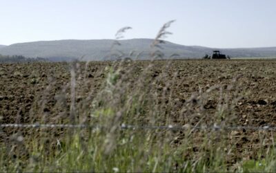 [Financement participatif] Post-production du film Le Banquet de Mâlain